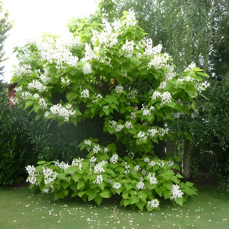 Traumferienwohnung R O B I N S O N Apartment