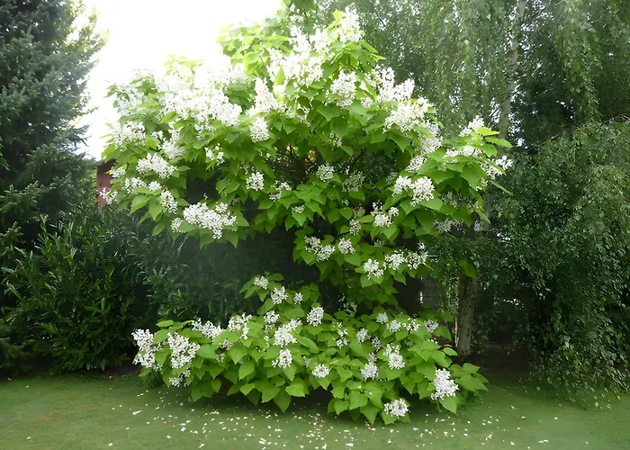 Traumferienwohnung R O B I N S O N Lejlighed